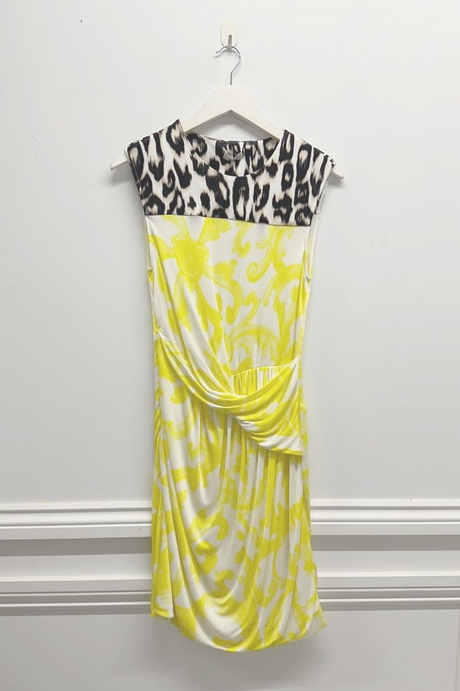 Issa Oralee Print Sleeveless Dress
