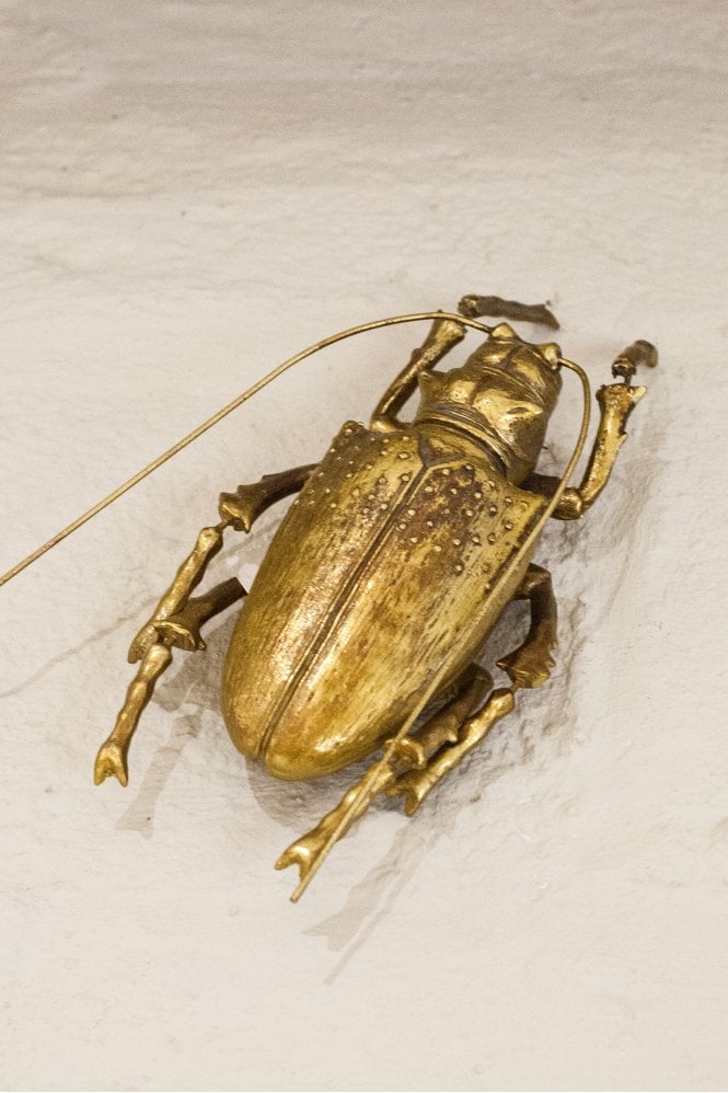 The Home Collection Large Gold Spotted Beetle Wall Décor